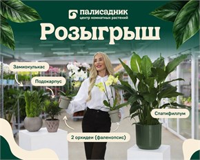 «Палисадник» дарит подарки: розыгрыш комнатных растений