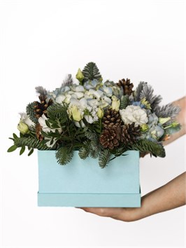 "Звездное утро" 2676