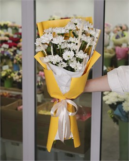 {{productViewItem.photos[photoViewList.activeNavIndex].Alt || productViewItem.photos[photoViewList.activeNavIndex].Description || '&quot;Первоклассник&quot;'}}