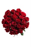 Букет из 25 красных роз (Эквадор) 50 см "Эксплорер" с лентой 2527 - фото 5273 Букет из 25 красных роз (Эквадор) 50 см "Эксплорер" с лентой 2527 - фото 5273