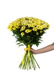 Букет из 25 желтых кустовых хризантем (Просекко) с лентой. 2425_0D2B2 - фото 5385 Букет из 25 желтых кустовых хризантем (Просекко) с лентой. 2425_0D2B2 - фото 5385