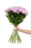 Букет из 25 розовых кустовых хризантем (Гранд Пинк) с лентой. 2421_43DFF - фото 5391