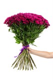 Букет из 25 фиолетовых кустовых хризантем (Пурпл Стар) с лентой. 2417_1A212 - фото 5403 Букет из 25 фиолетовых кустовых хризантем (Пурпл Стар) с лентой. 2417_1A212 - фото 5403