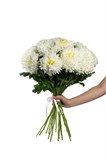 Букет из 15 белых одноголовых хризантем (Магнум) с лентой. 2446_11C96 - фото 5427
