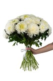 Букет из 25 белых одноголовых хризантем (Магнум) с лентой. 2448_F058B - фото 5433