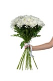 Букет из 15 белых кустовых хризантем (Балтика) с лентой. 2427 - фото 5442