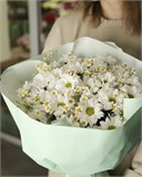 "Летняя свежесть" 5992 - фото 6480